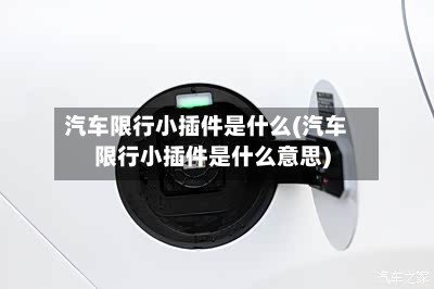 汽车限行小插件是什么(汽车限行小插件是什么意思)-第2张图片
